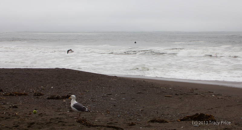 North of San Fransisco