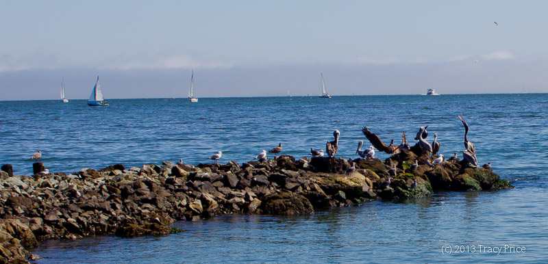 Sausalito California