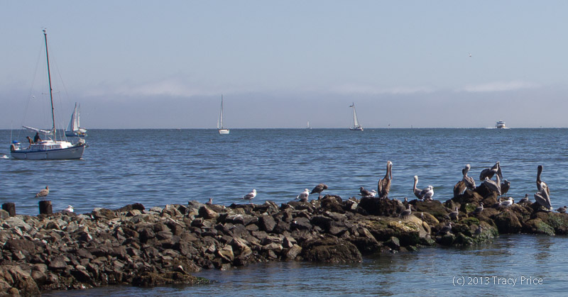 Sausalito California